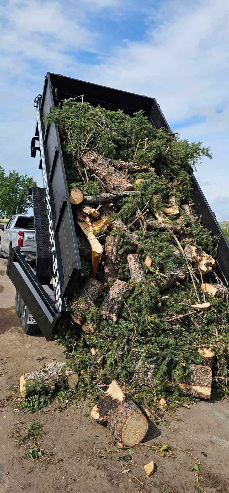 Storm and remodeling debris removal